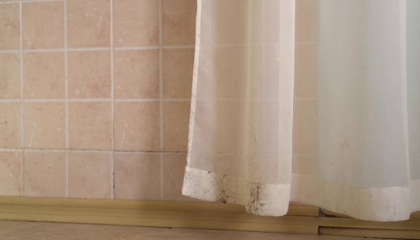 Best Water Damage & Mold Remediation  in Kayenta, AZ