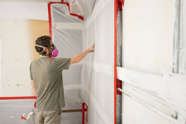 Mold Remediation for Rental Properties in Kayenta, AZ