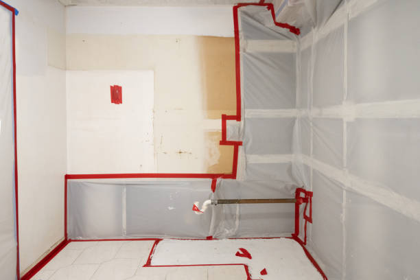 Best Black Mold Removal  in Kayenta, AZ