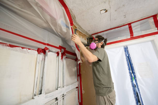 Best Air Quality Testing for Mold Spores  in Kayenta, AZ