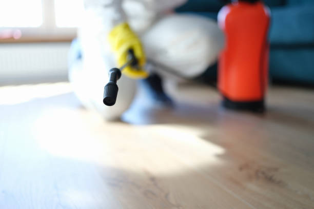 Best Mold Documentation for Insurance Claims  in Kayenta, AZ