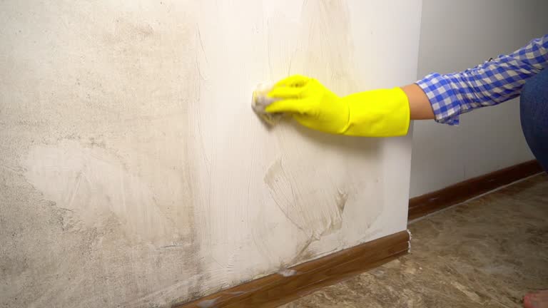 Best Indoor Air Quality Assessment  in Kayenta, AZ