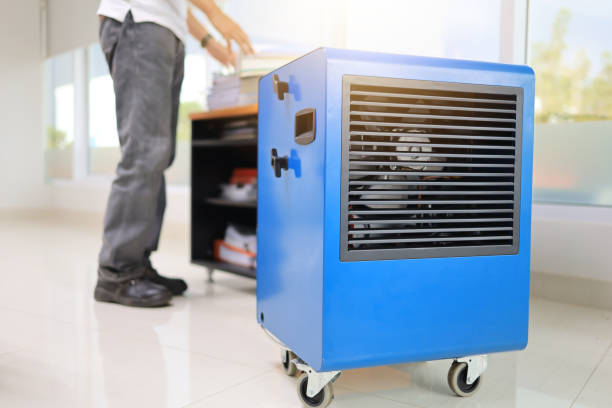 Best Emergency Mold Remediation  in Kayenta, AZ