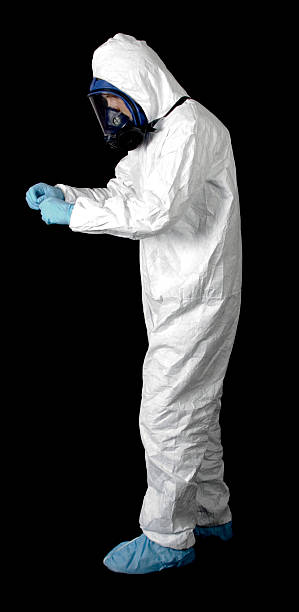 Trusted Kayenta, AZ Mold Removal Experts
